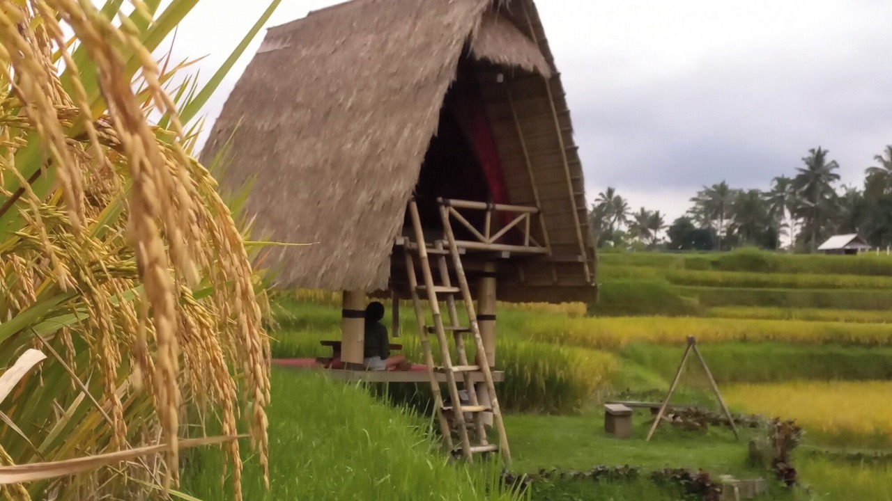 Photo of Outdoor in Sebatu
