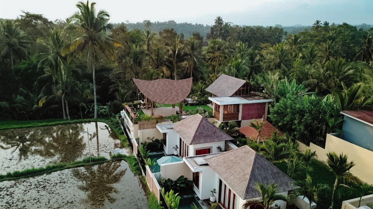 Photo of Outdoor in Tegallalang