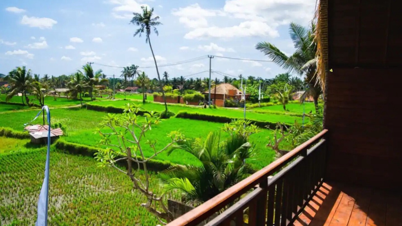 Photo of Outdoor in Pejeng Kawan