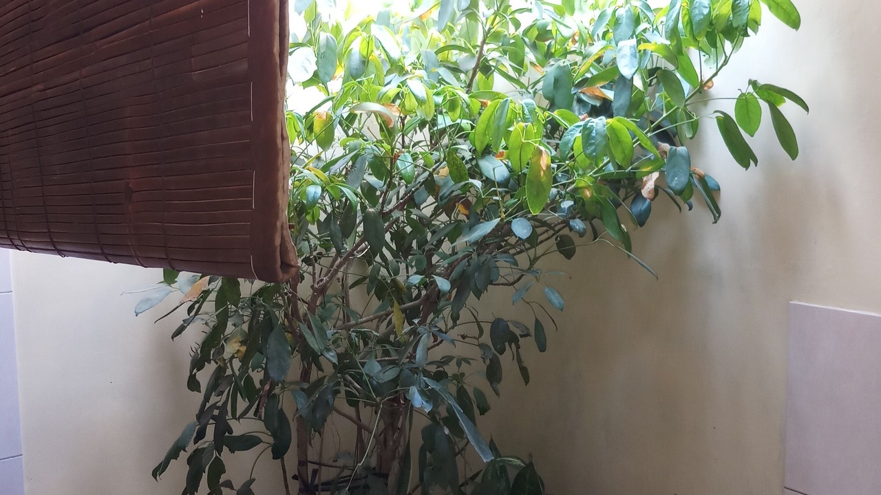Photo of Bathroom in Purwakerti