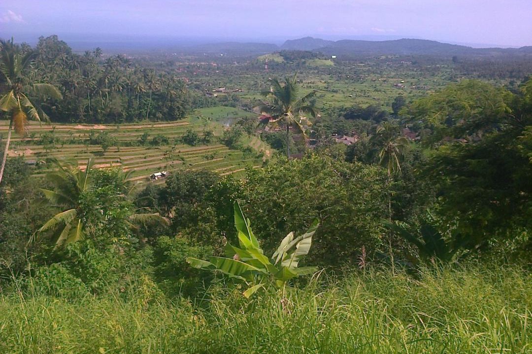 Photo of Others in Ababi