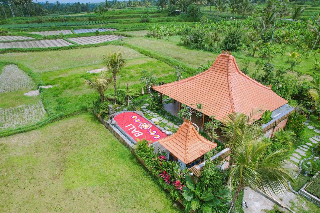 Photo of Others in Buahan