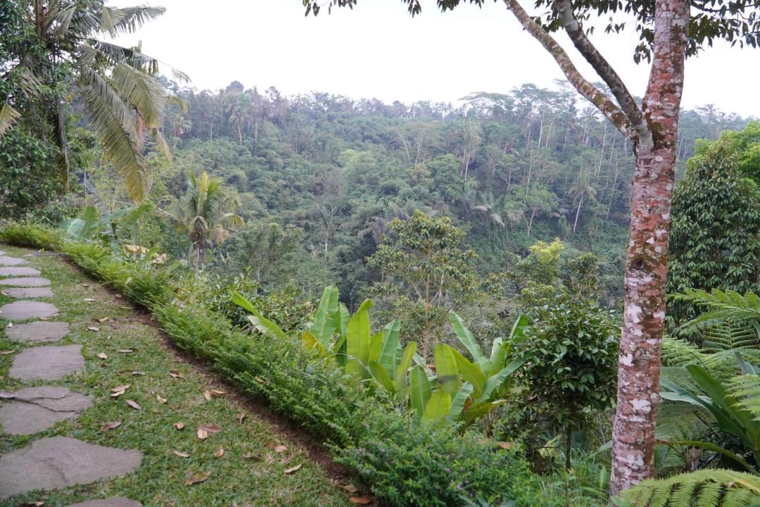 Photo of Others in Sebatu