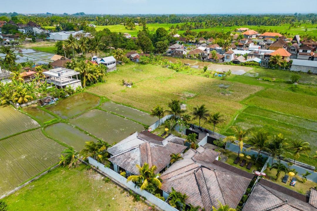 Photo of Others in Peliatan