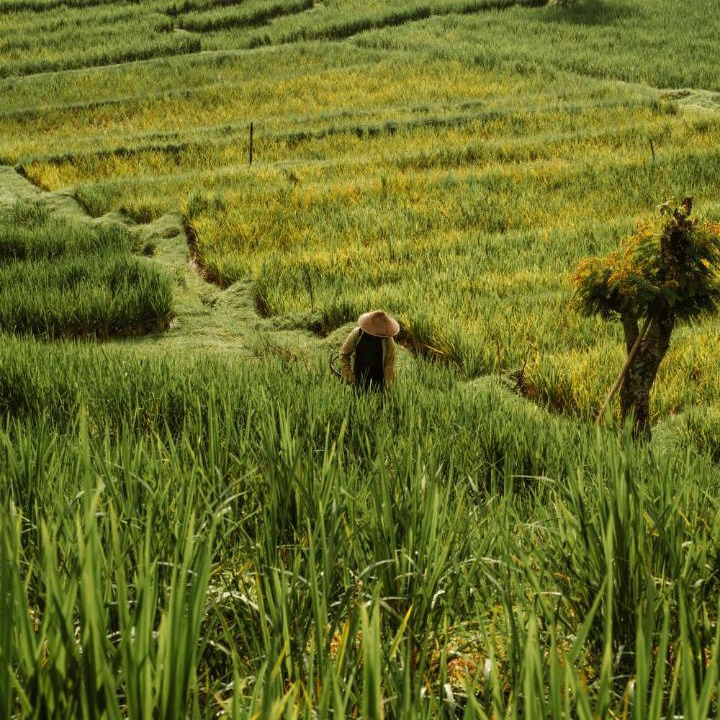 Photo of Others in Selat