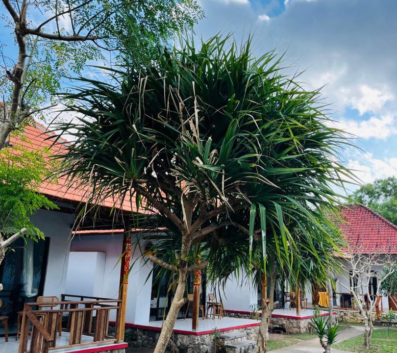 Photo of Others in Ceningan Island