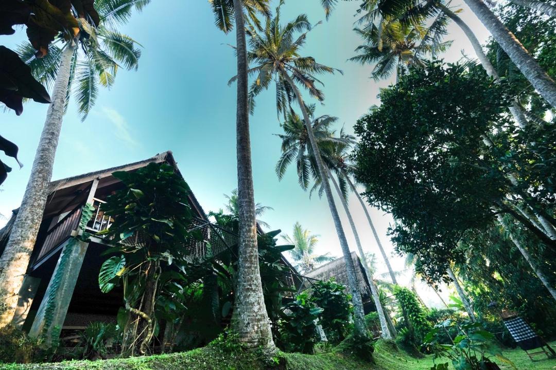 Photo of Others in Peliatan