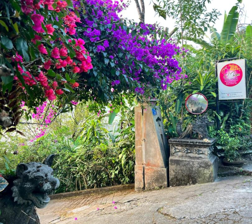Photo of Outdoor in Munduk