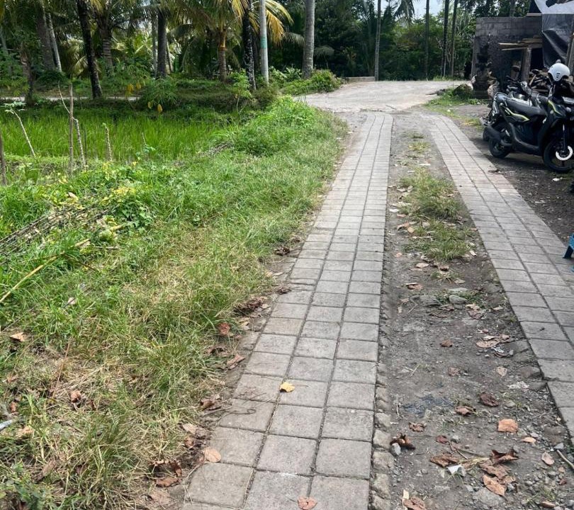 Photo of Outdoor in Mas