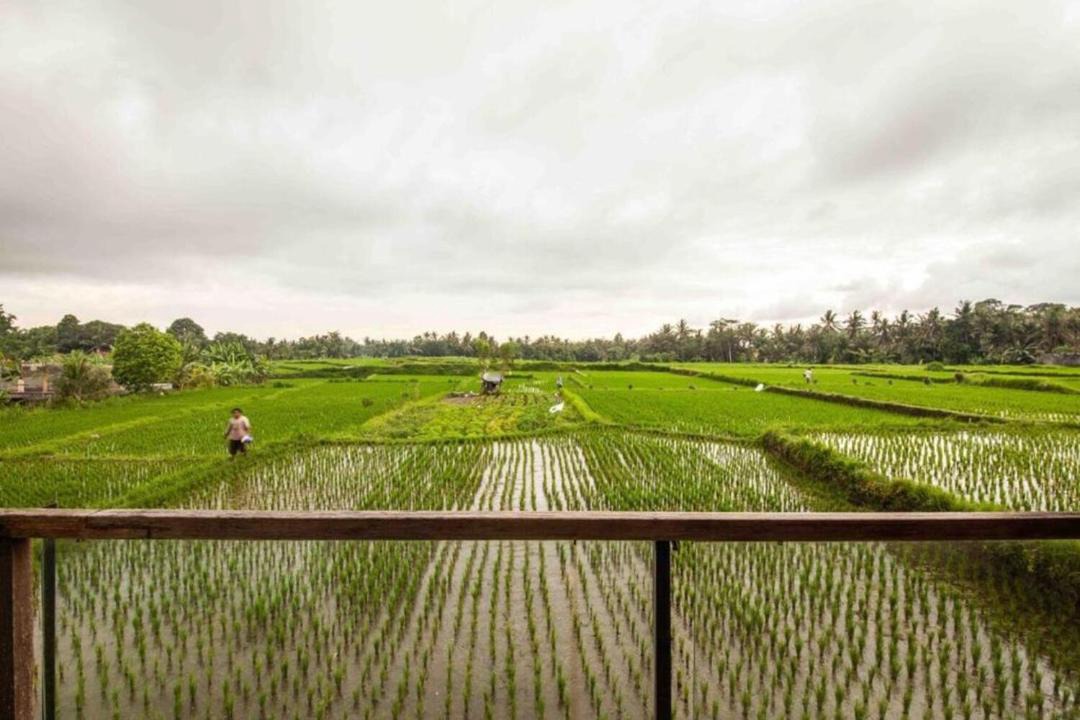 Photo of Others in Lodtunduh