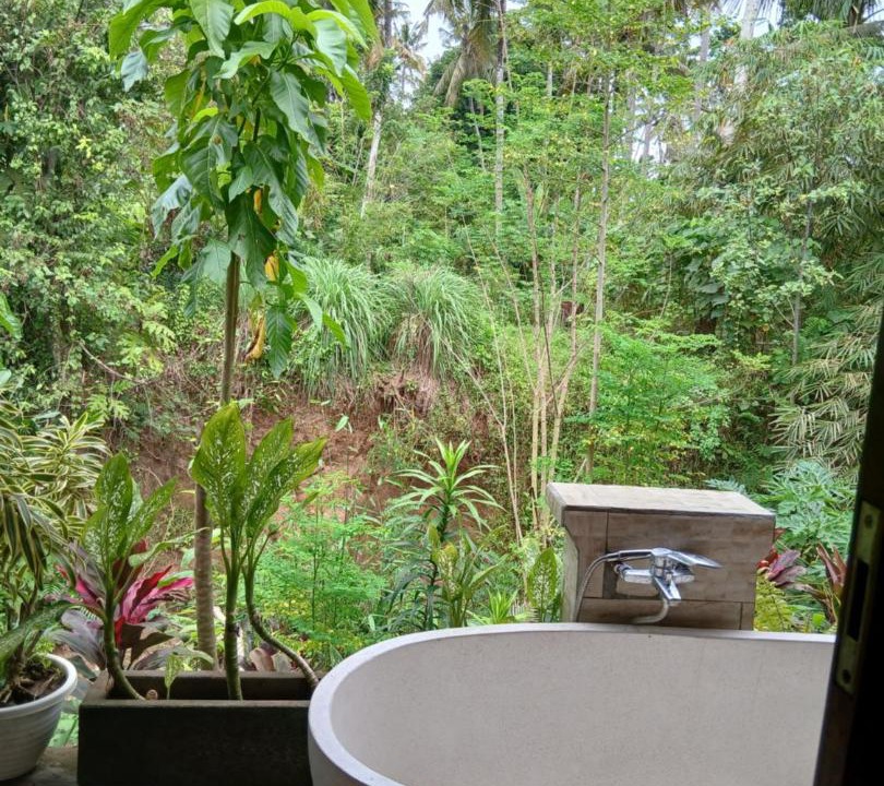 Photo of Bathroom in Kemenuh