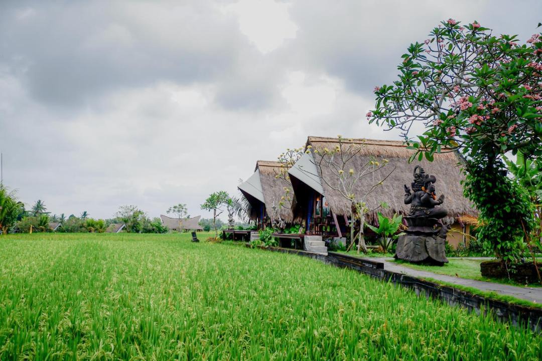 Photo of Others in Peliatan