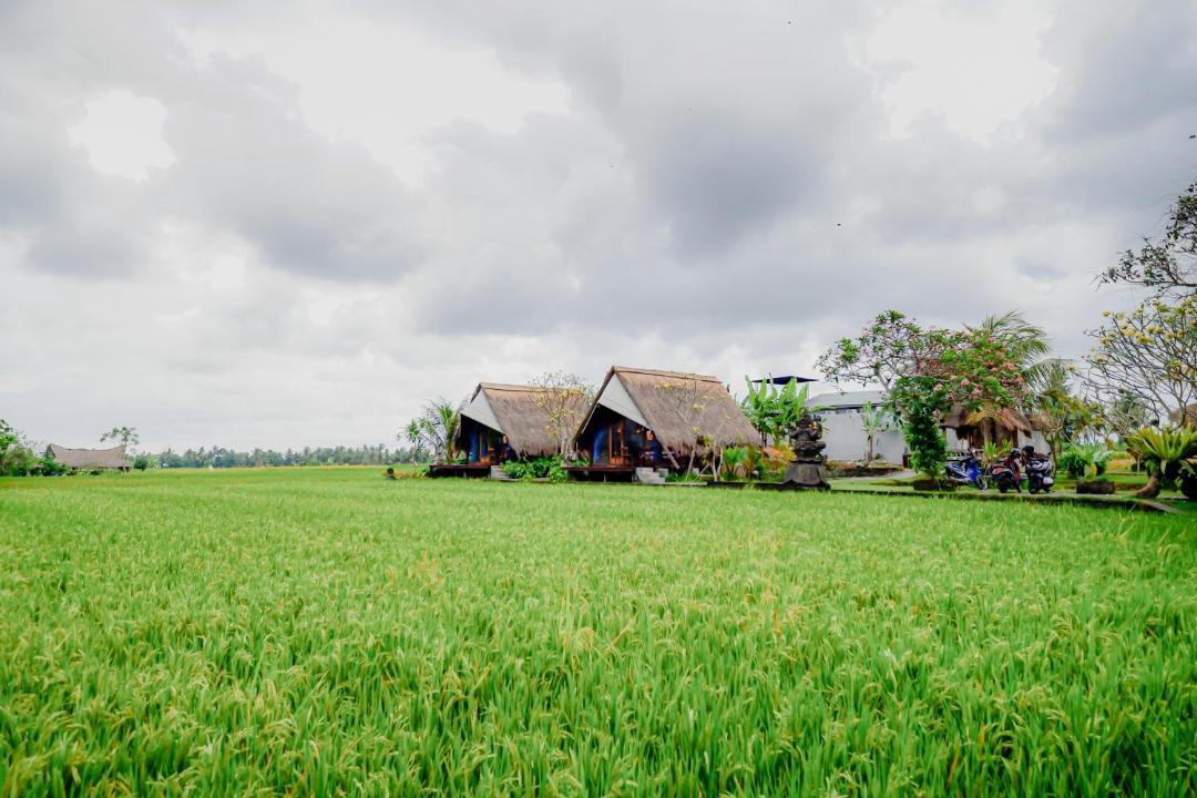 Photo of Others in Peliatan