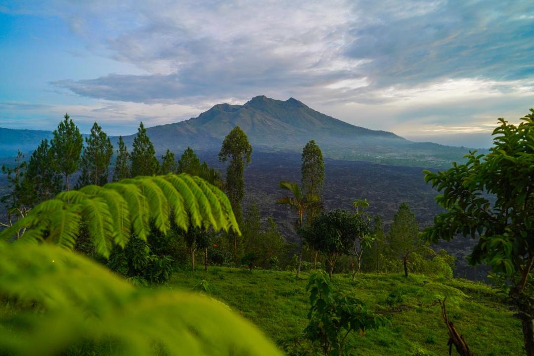 Photo of Others in Kintamani