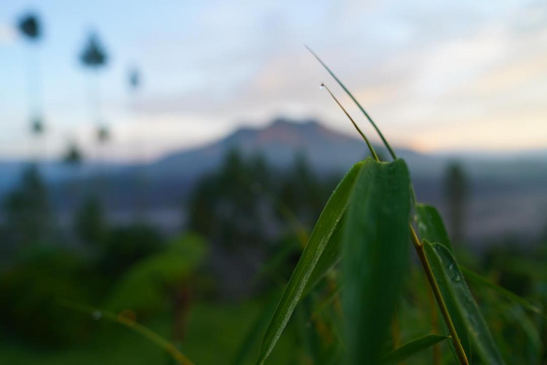 Photo of Others in Kintamani