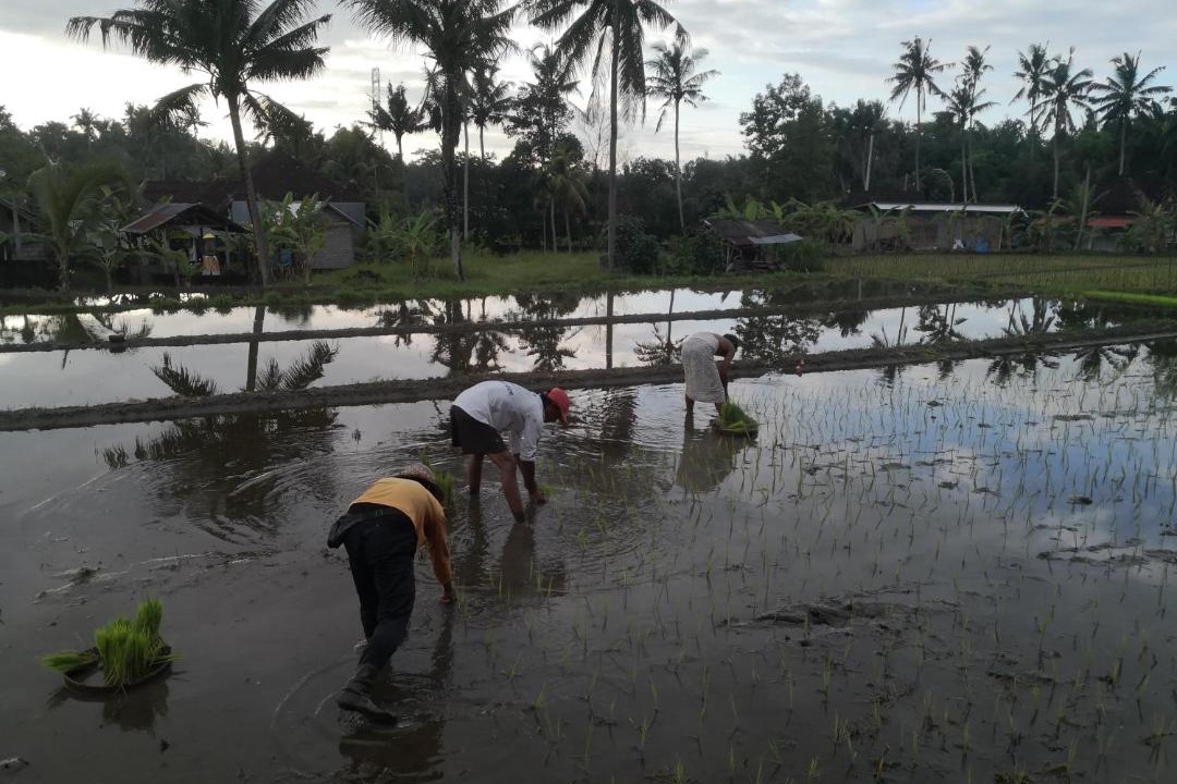Photo of Others in Tumbu Village