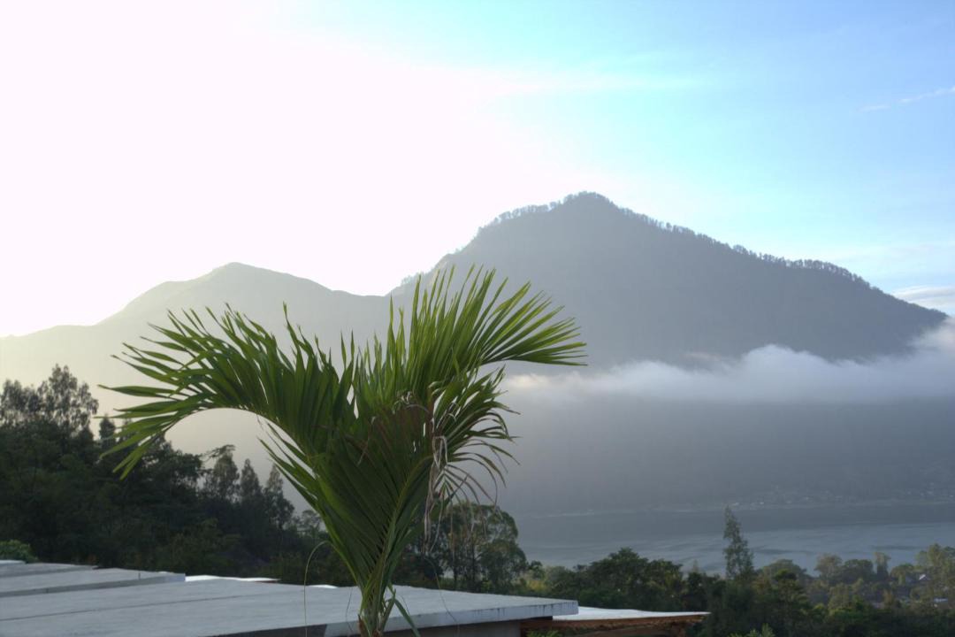 Photo of Others in Kintamani