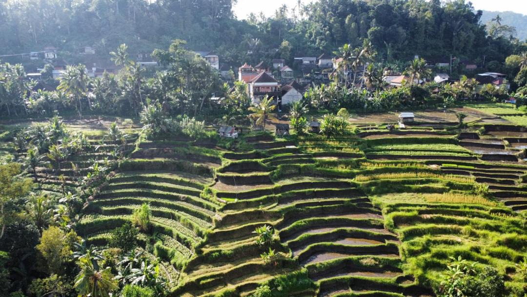 Photo of Others in Klungkung
