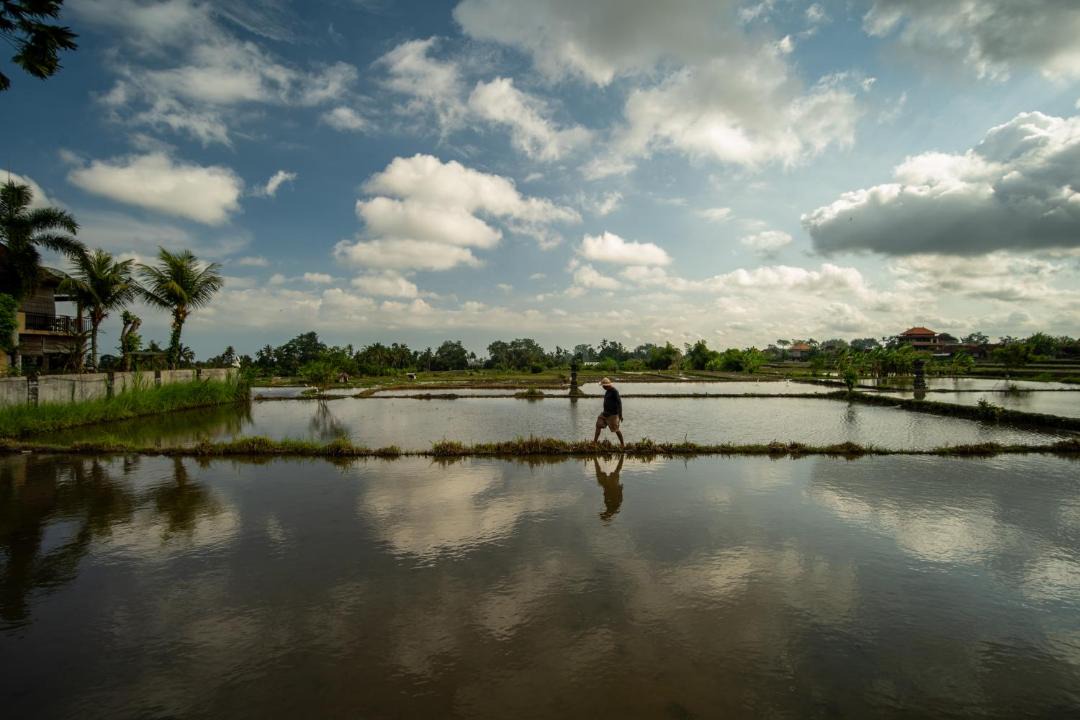 Photo of Others in Pejeng Kawan