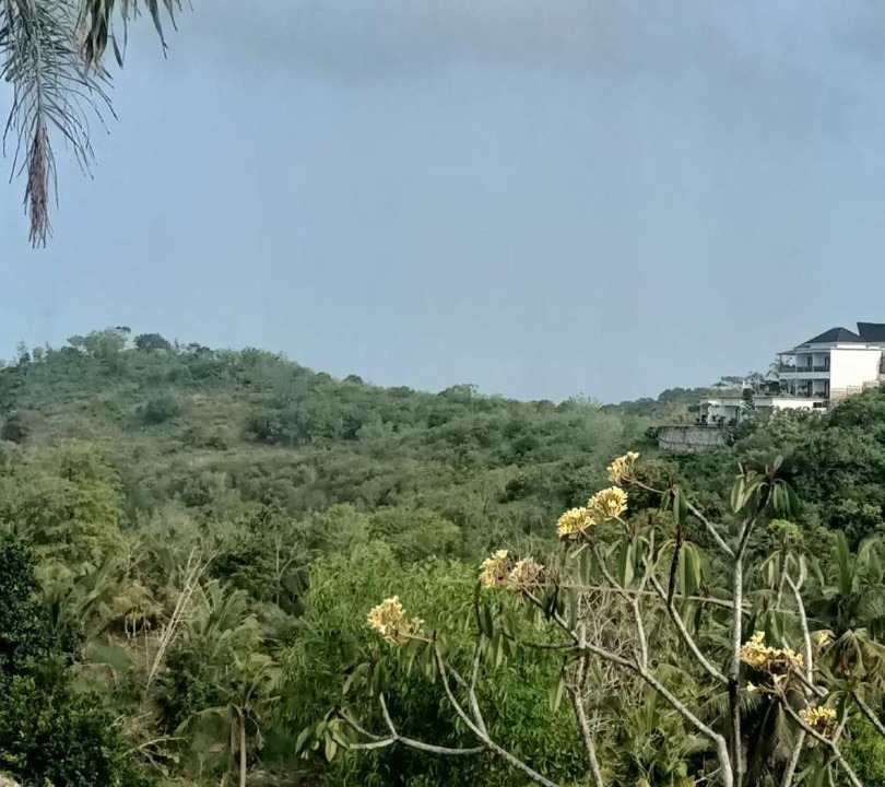 Photo of Others in Penida Island