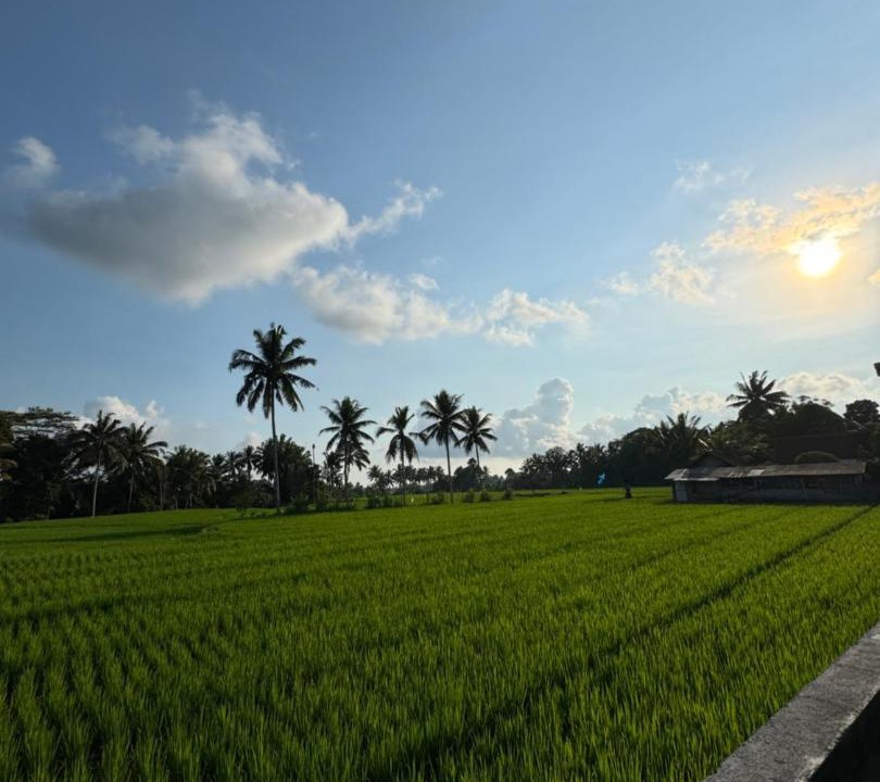 Photo of Others in Tampaksiring