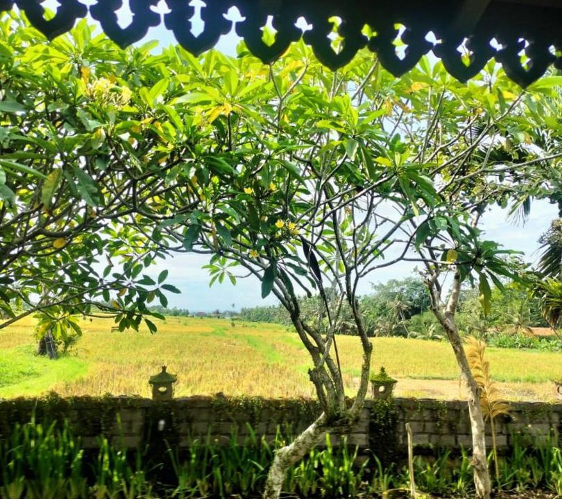 Photo of Others in Melayang