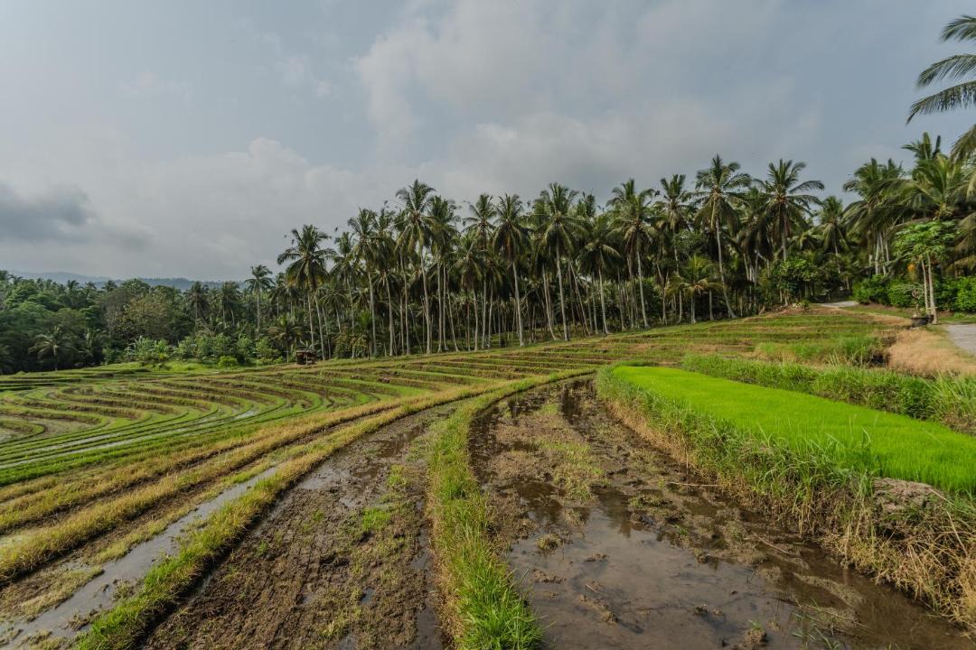 Photo of Others in Suraberata