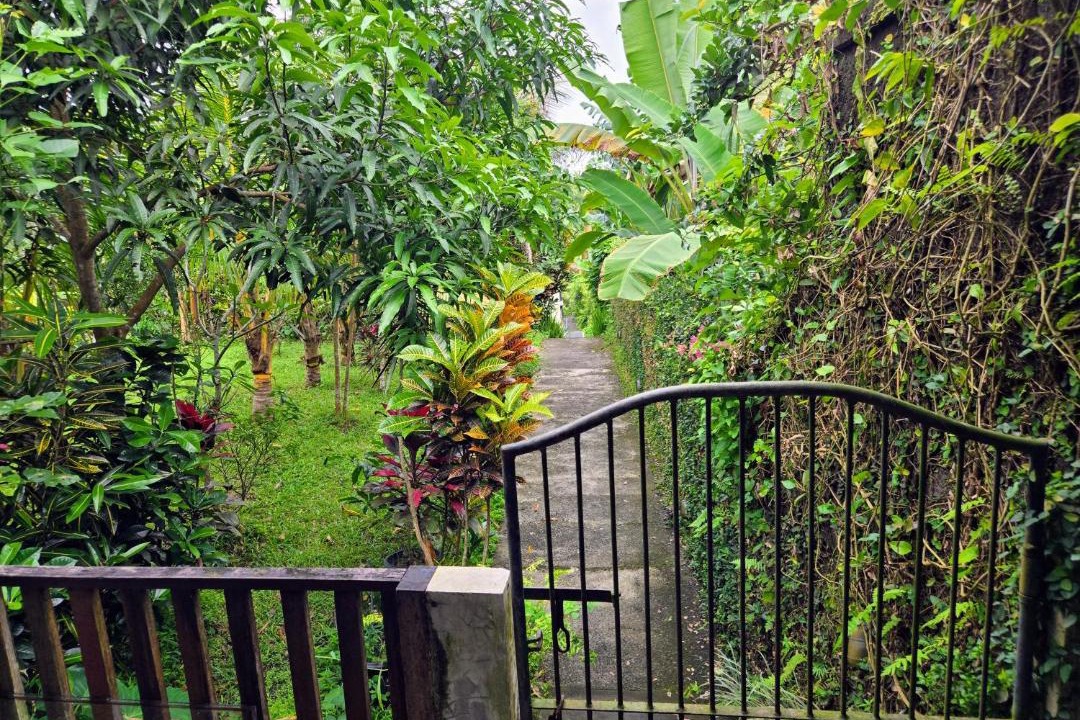Photo of Others in Buahan