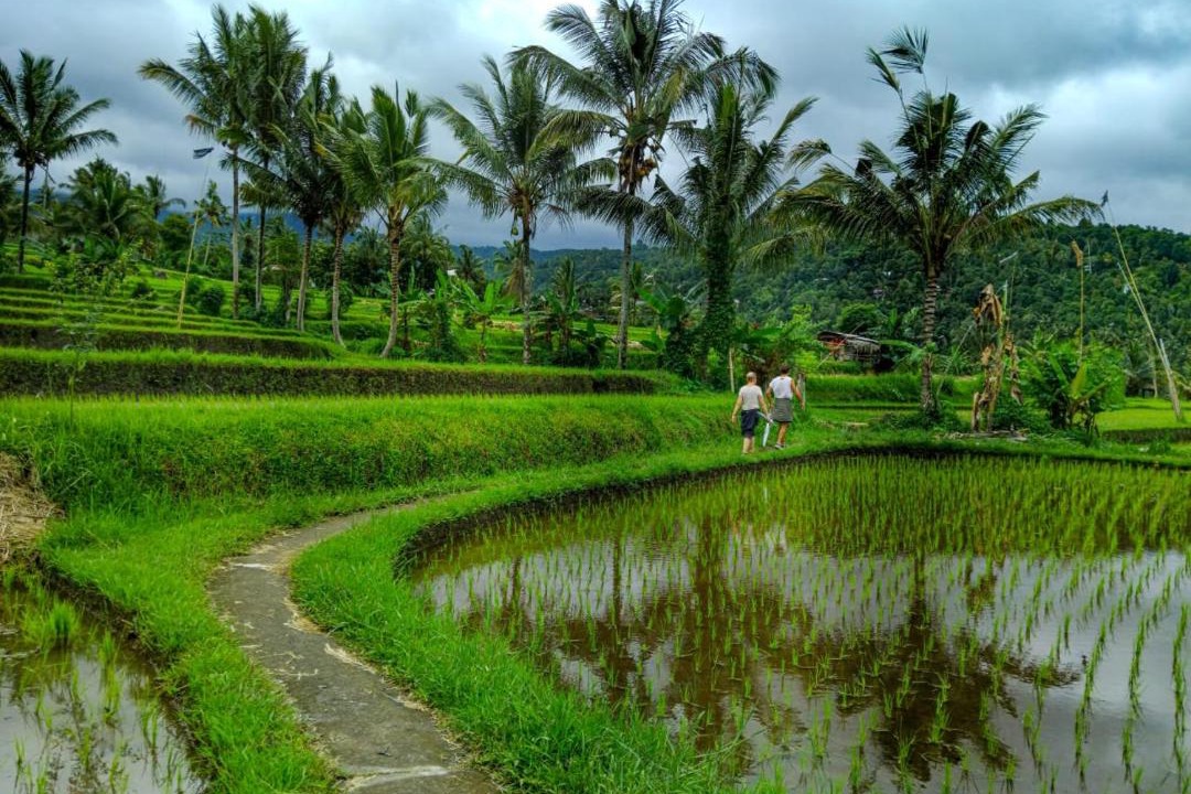 Photo of Others in Munduk