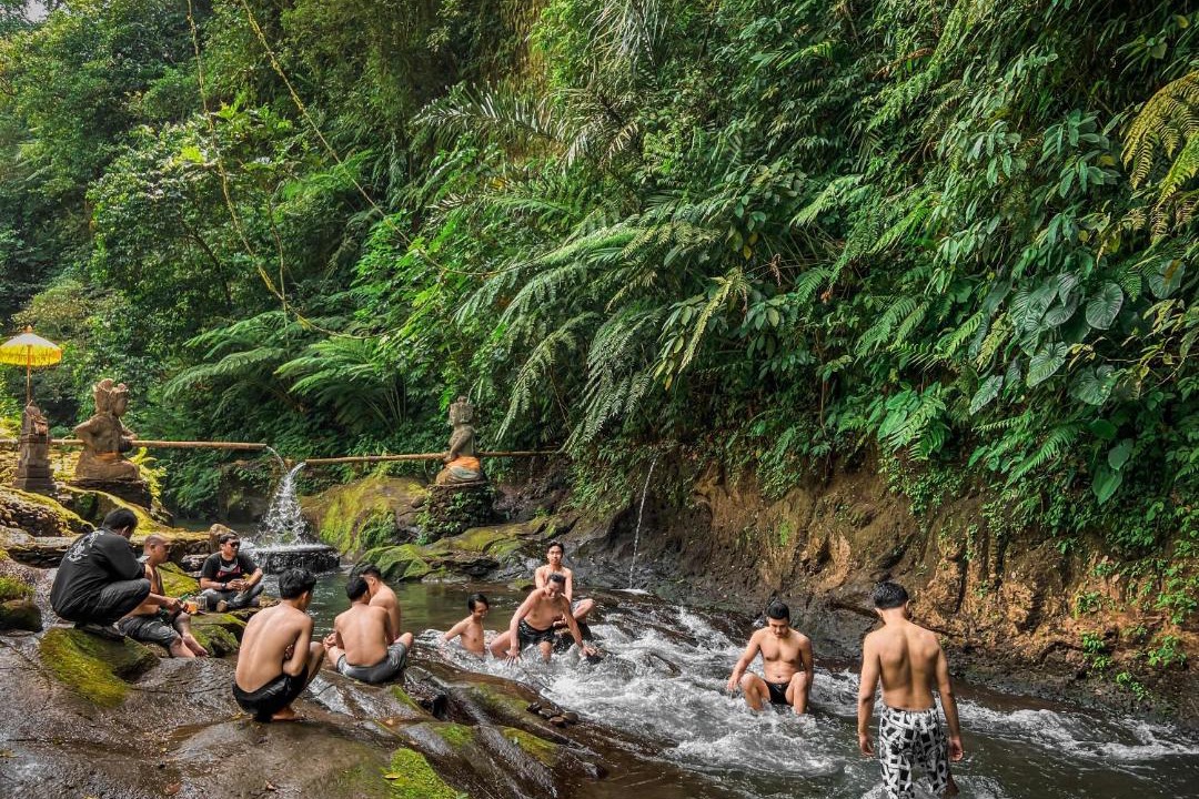 Photo of Others in Taro