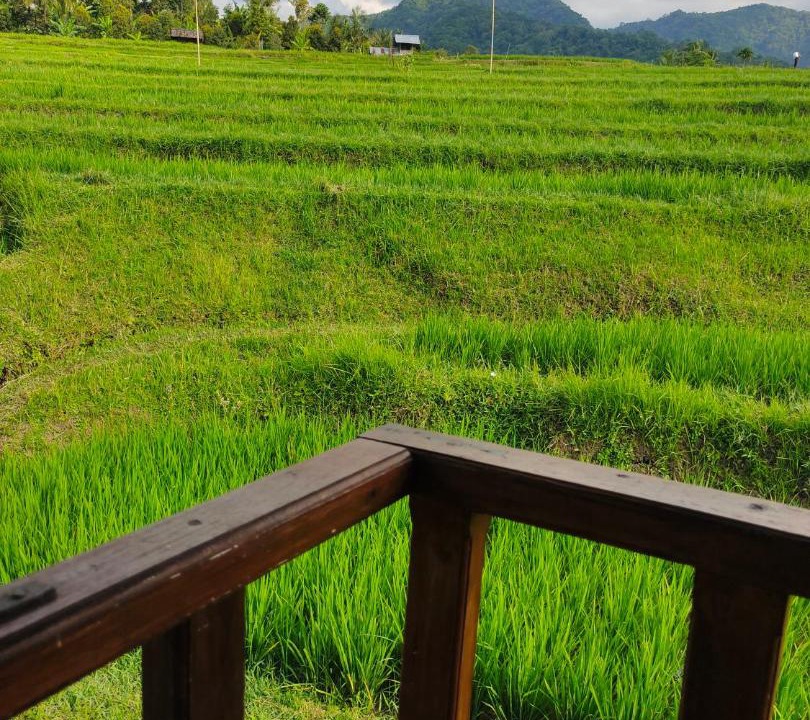 Photo of Others in Sukasada