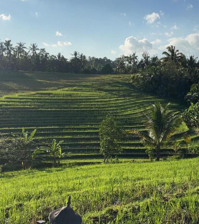 Photo of Others in East Selemadeg