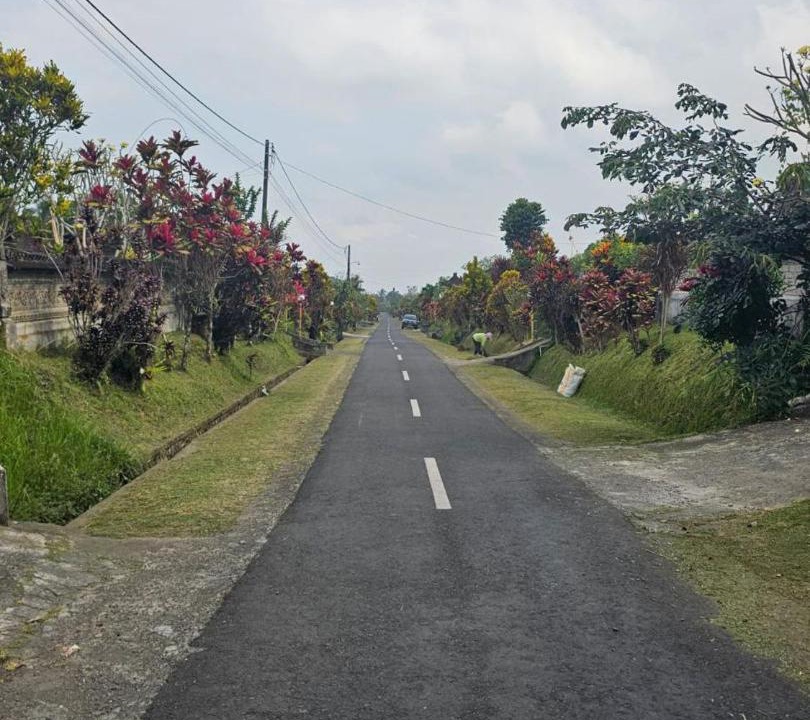 Photo of Others in Tua