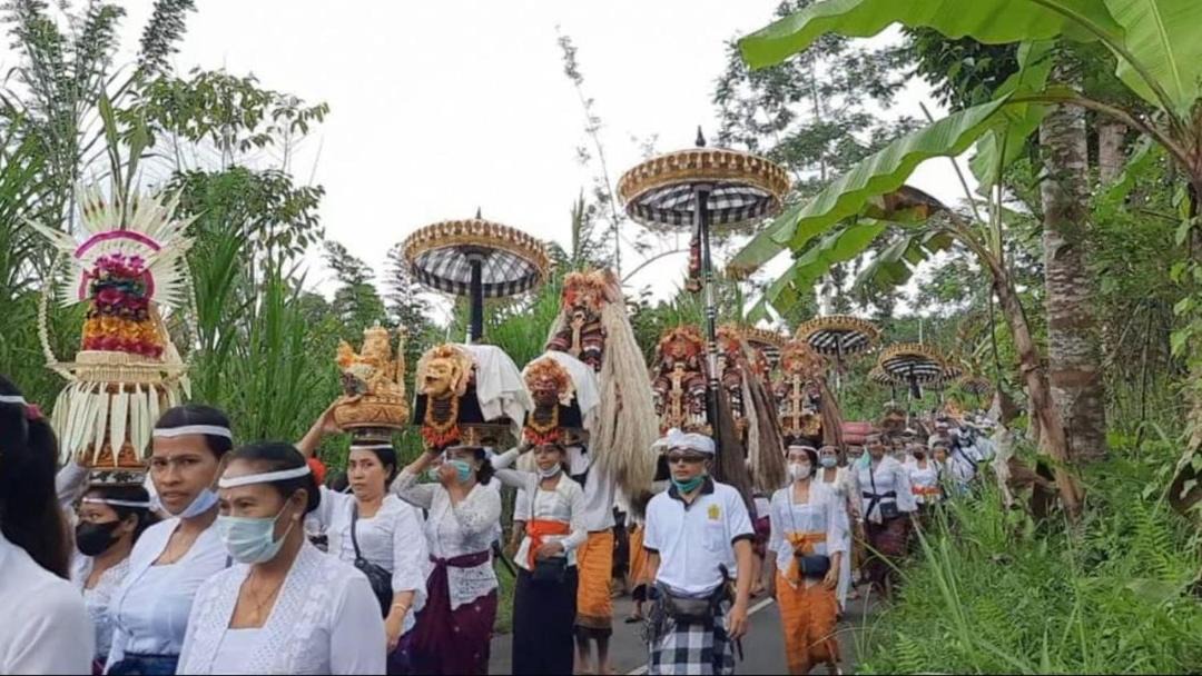 Photo of Others in Taro