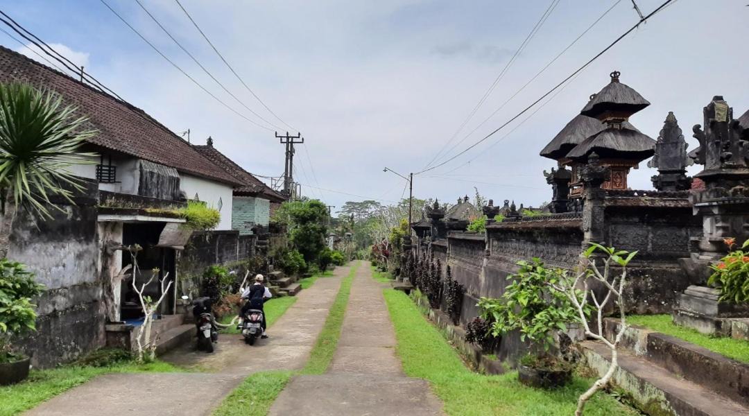 Photo of Others in Taro