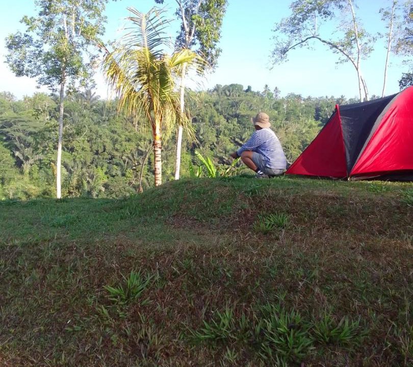 Photo of Others in Taro