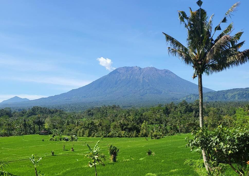 Photo of Outdoor in Selat