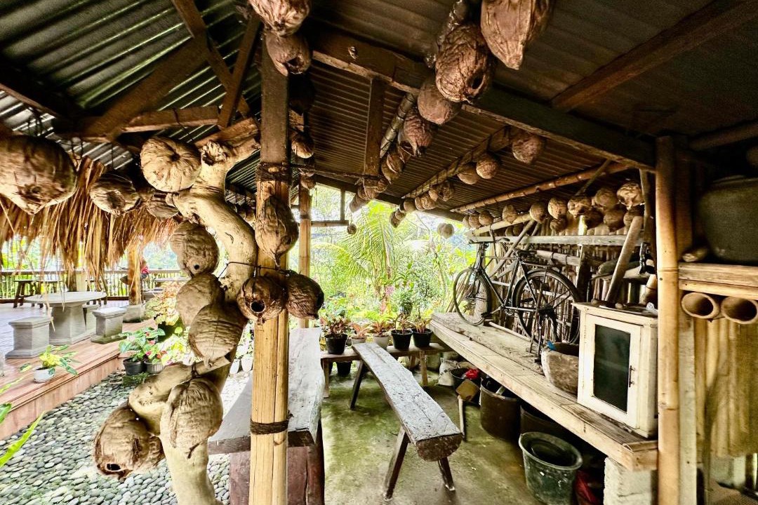 Photo of Others in Taro