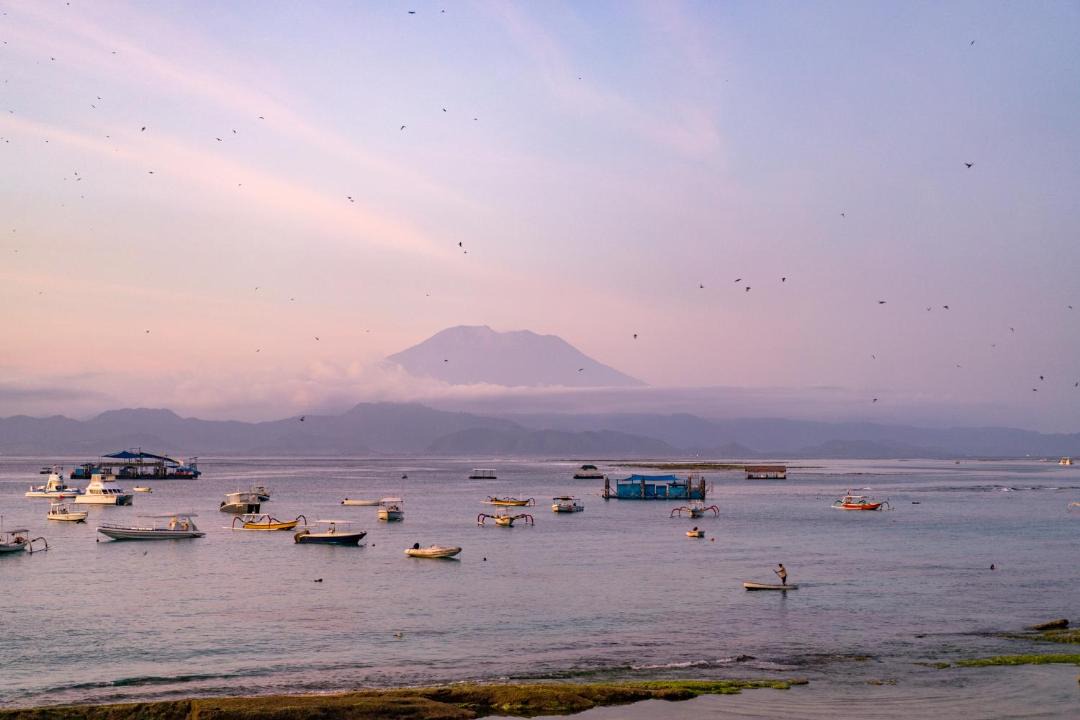 Photo of Others in Mushroom Bay