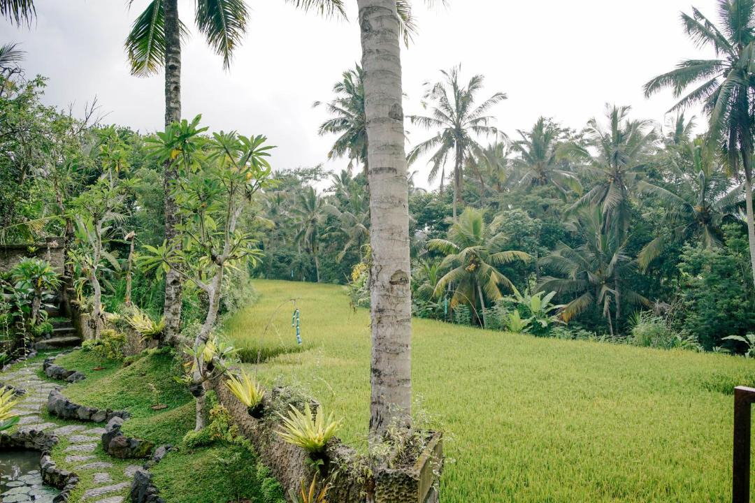 Photo of Others in Tampaksiring