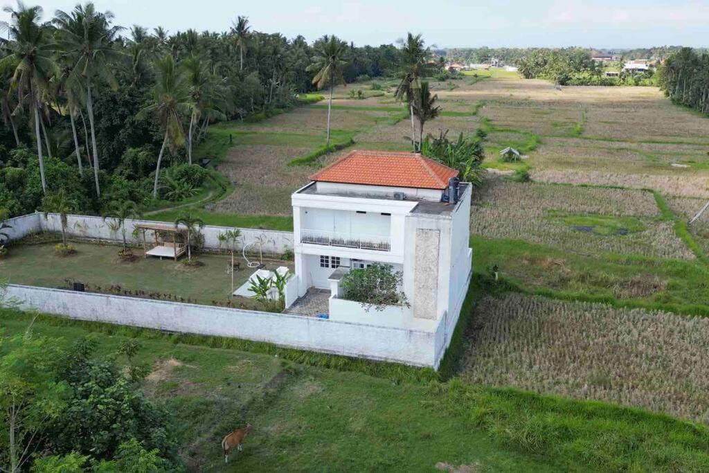 Photo of Others in Kemenuh