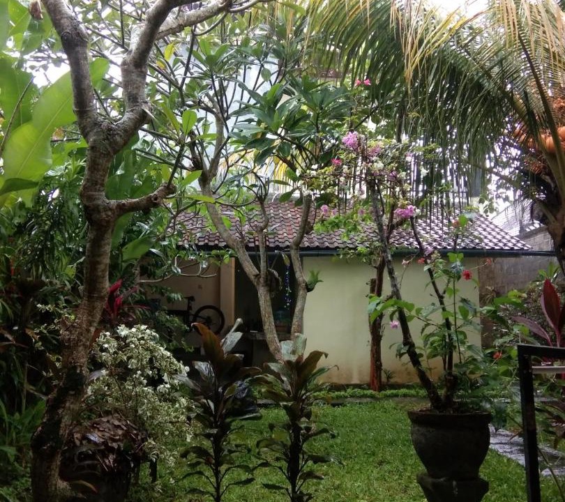 Photo of Others in Melayang