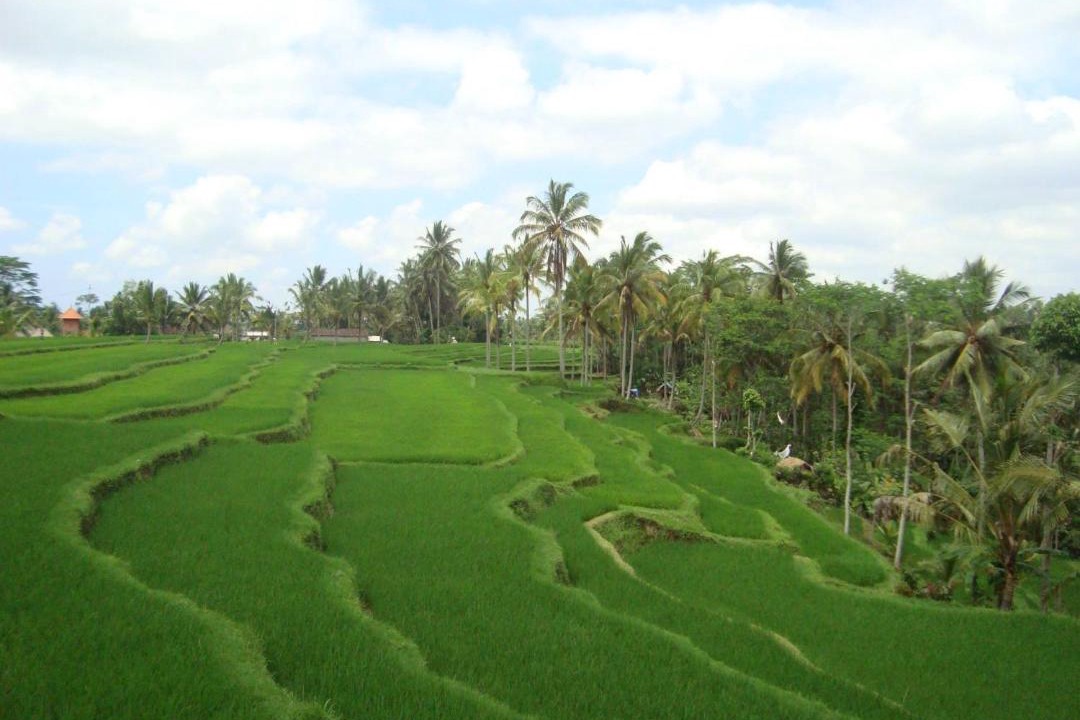Photo of Others in Kenderan