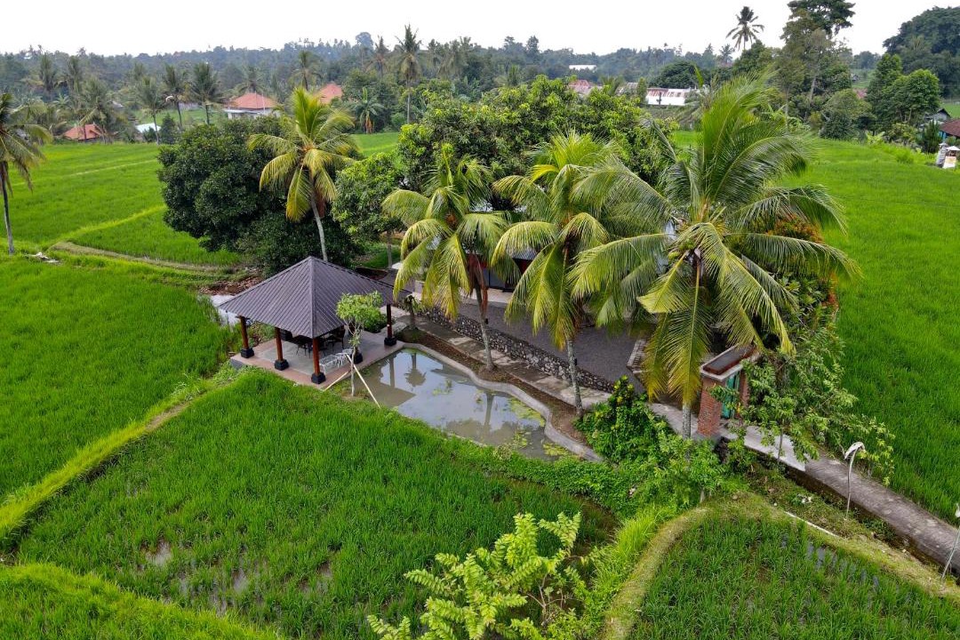 Photo of Others in Sawan
