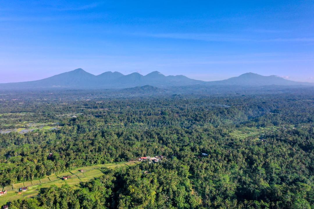 Photo of Outdoor in Payangan