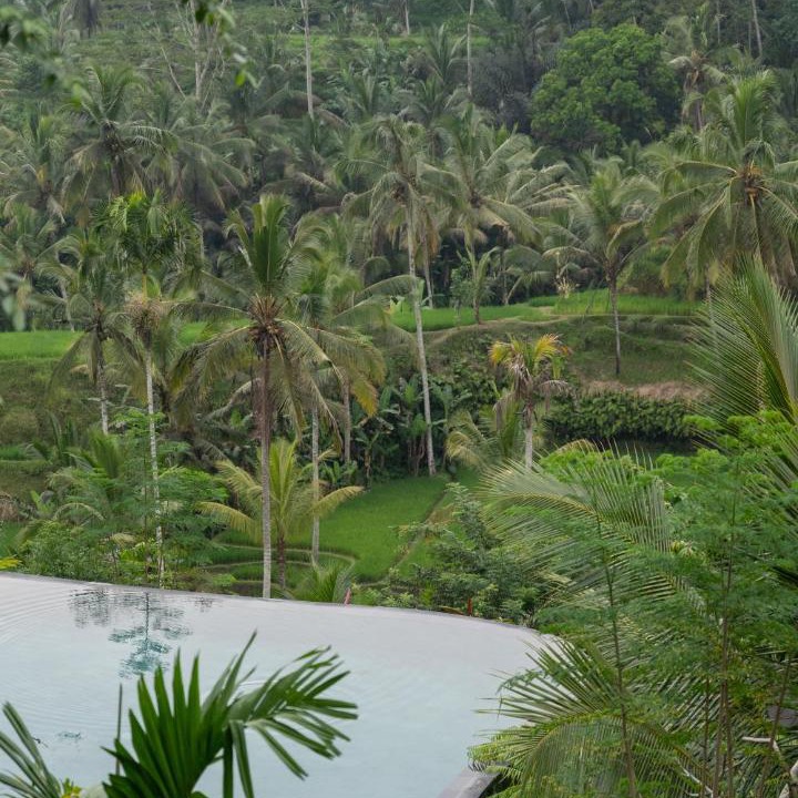 Photo of Outdoor in Sebatu