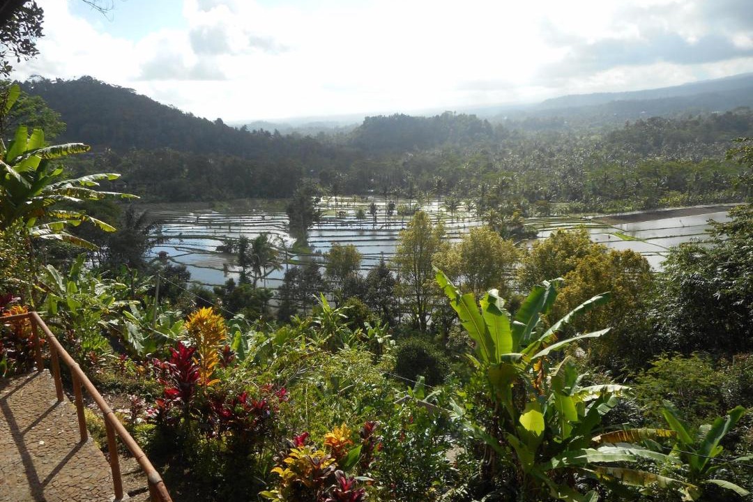 Photo of Outdoor in Selat