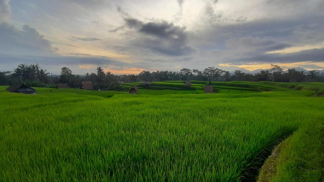 Photo of Others in Sebatu
