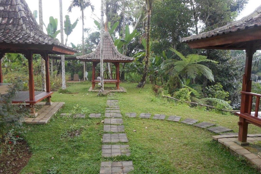 Photo of Others in Taro