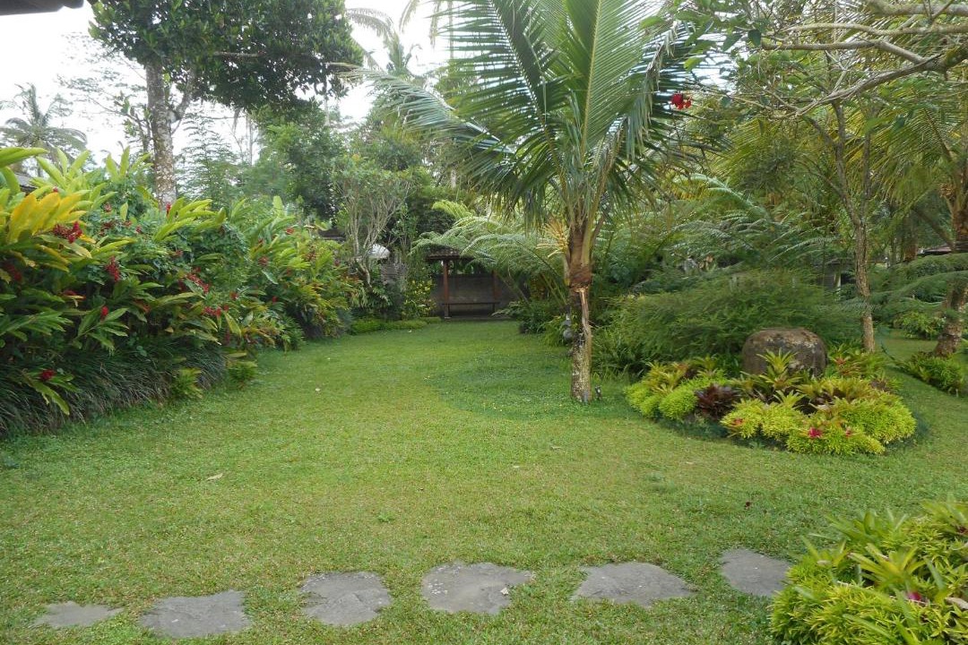 Photo of Outdoor in Taro